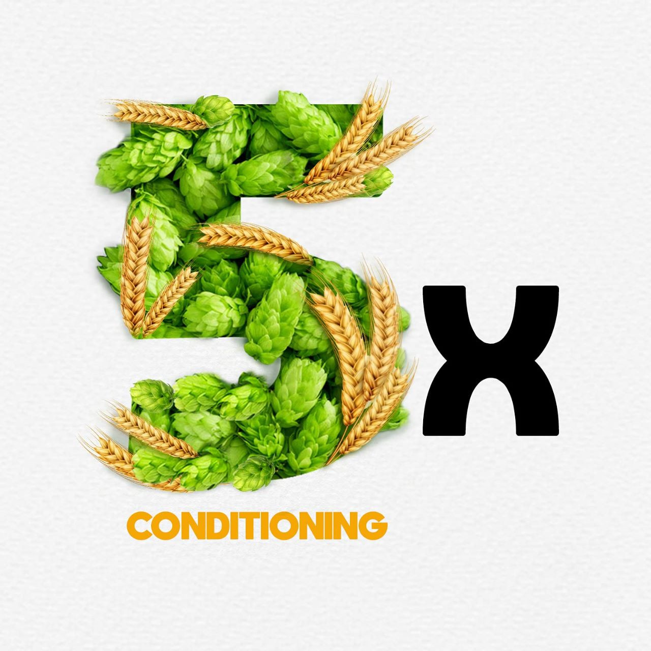 Park Avenue Beer shampoo for Damage Free hairs, Barley