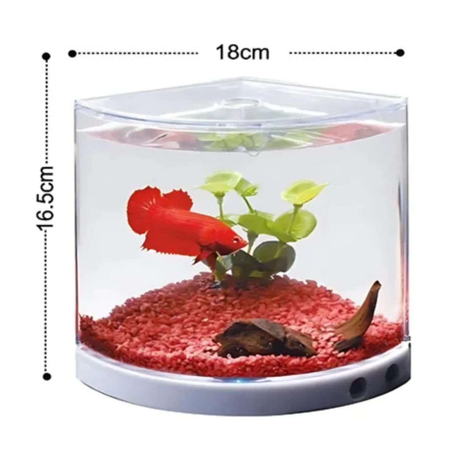 TUNAI Dophin T101 Mini Aquarium Fish Tank | Single Light | Elegant And Stylish Design | Ideal For Betta, Small Fish And Plant Keeping | Capacity - 1.4L Fish Tank (Original From Store)