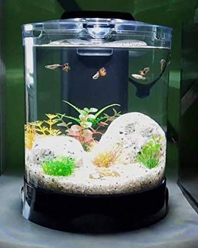 Dophin Aquarium Tank (Mini Betta Tank BT-112 : 5.2L/ 1.4Gal, Rust Resistant)-Central Fish Aquarium