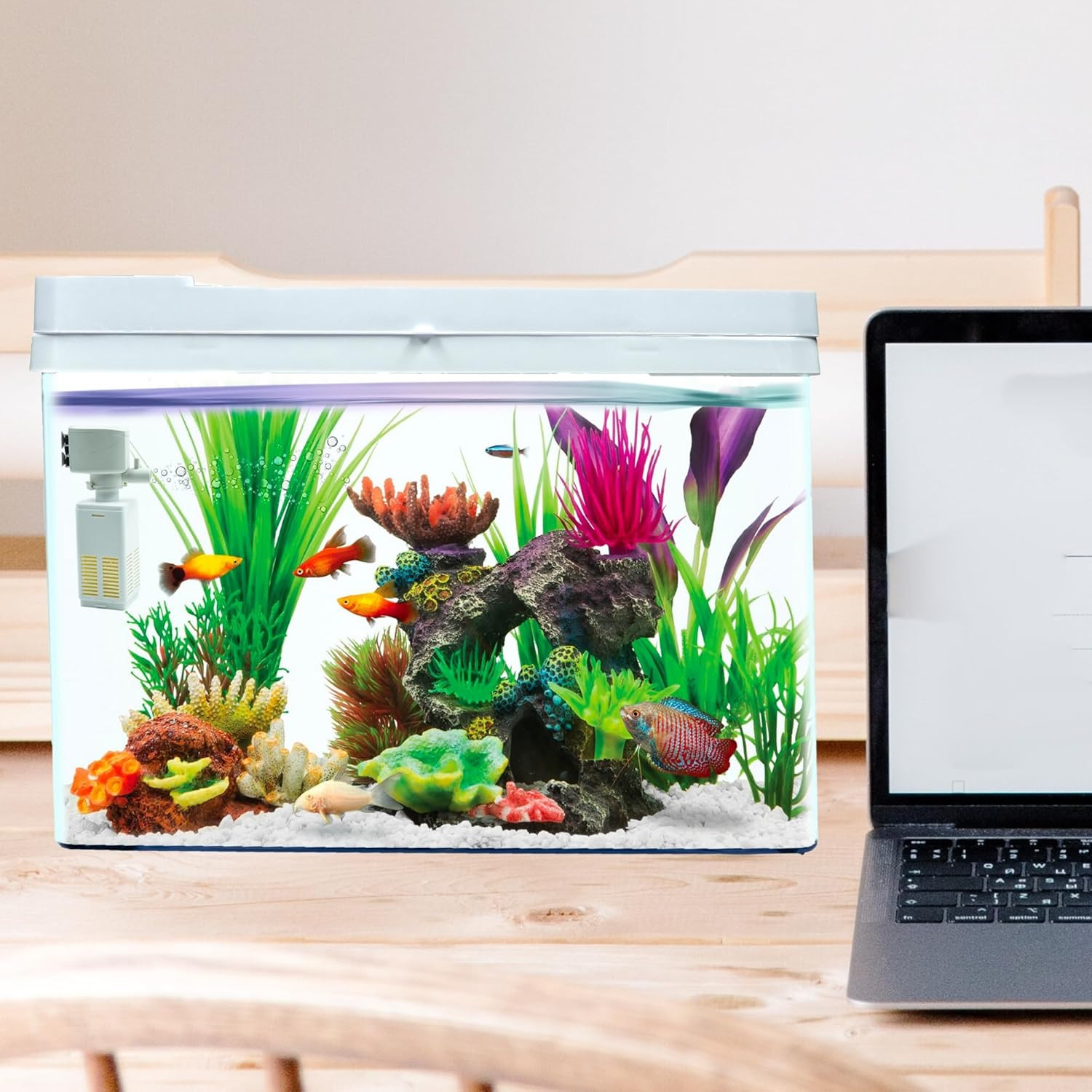 Buraq 4K Transparency Moulded Fashion Aquarium Mini Fish Tank with Filter & Light, Polycarbonate Material, Suitable for Home, Living Room and Office (33" L x 21" W x 24" H Cm)