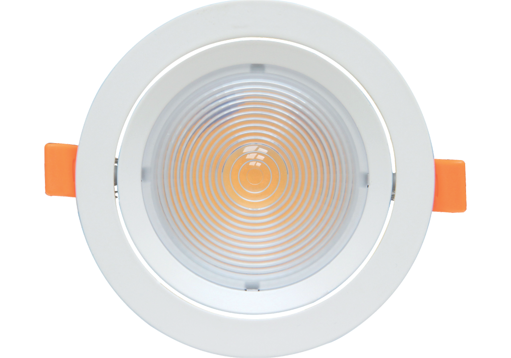 Ganit Round 30 Watt COB Light