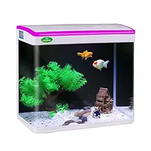 JAINSONS PET PRODUCTS Fish Tank Mini Aquarium, with Finger Touch Color Change LED Small Size 8 Liter(Color May Vary)