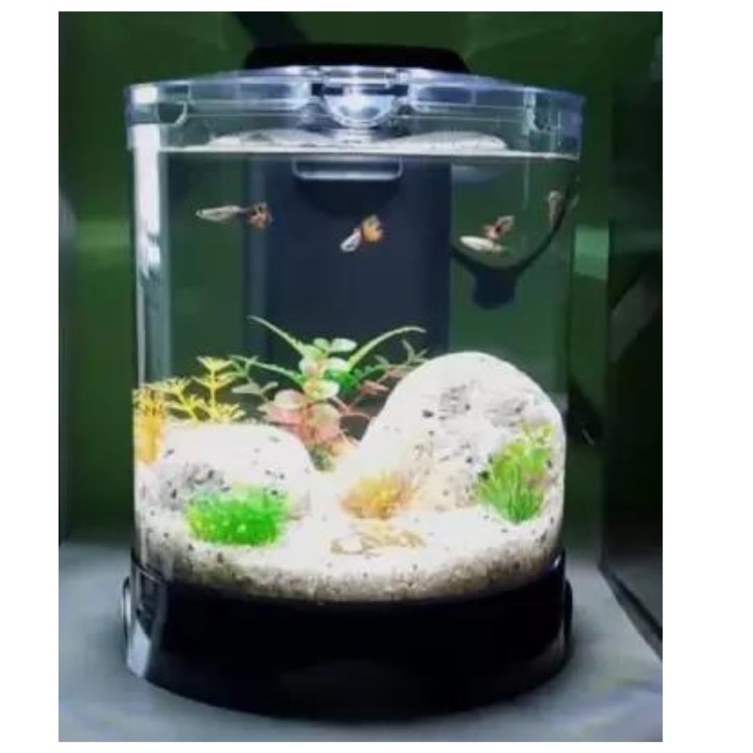 KSH Store-DoPhin Round Mini Tank BT-112, for Small Fish and Aquatic Plants (5.2 L, Rust Resistant) with LED Light and Internal Filter,4 INCH Plant and Fish Food. (BT-112)