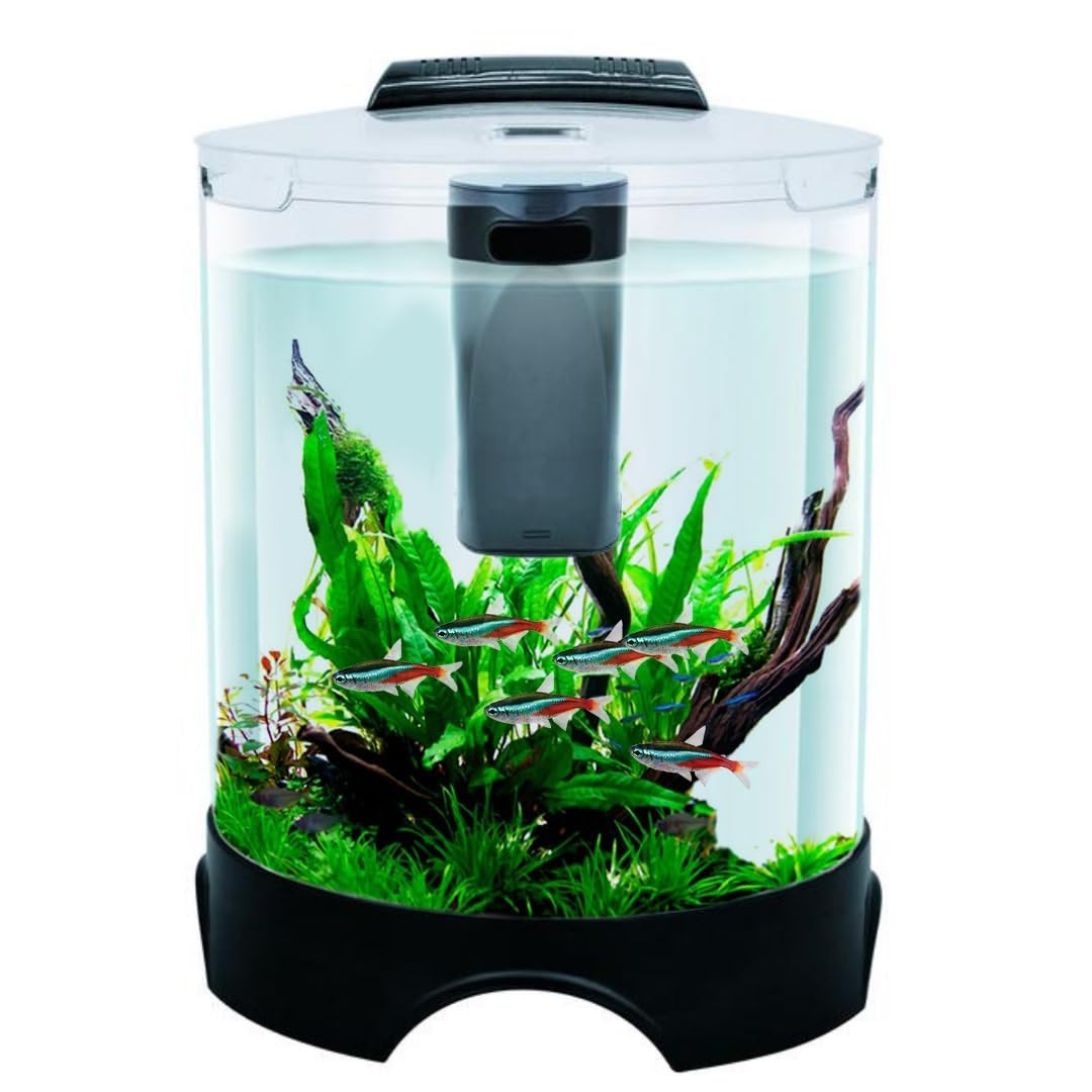 Tunai+ KW BT112 All-in-One DIY Aquarium Fish Tank Comes with Filter and Led Lights, 5.2 Ltrs Capacity Suitable for Small Fish Like Betta, Zebra, Guppy, Tetras & Others