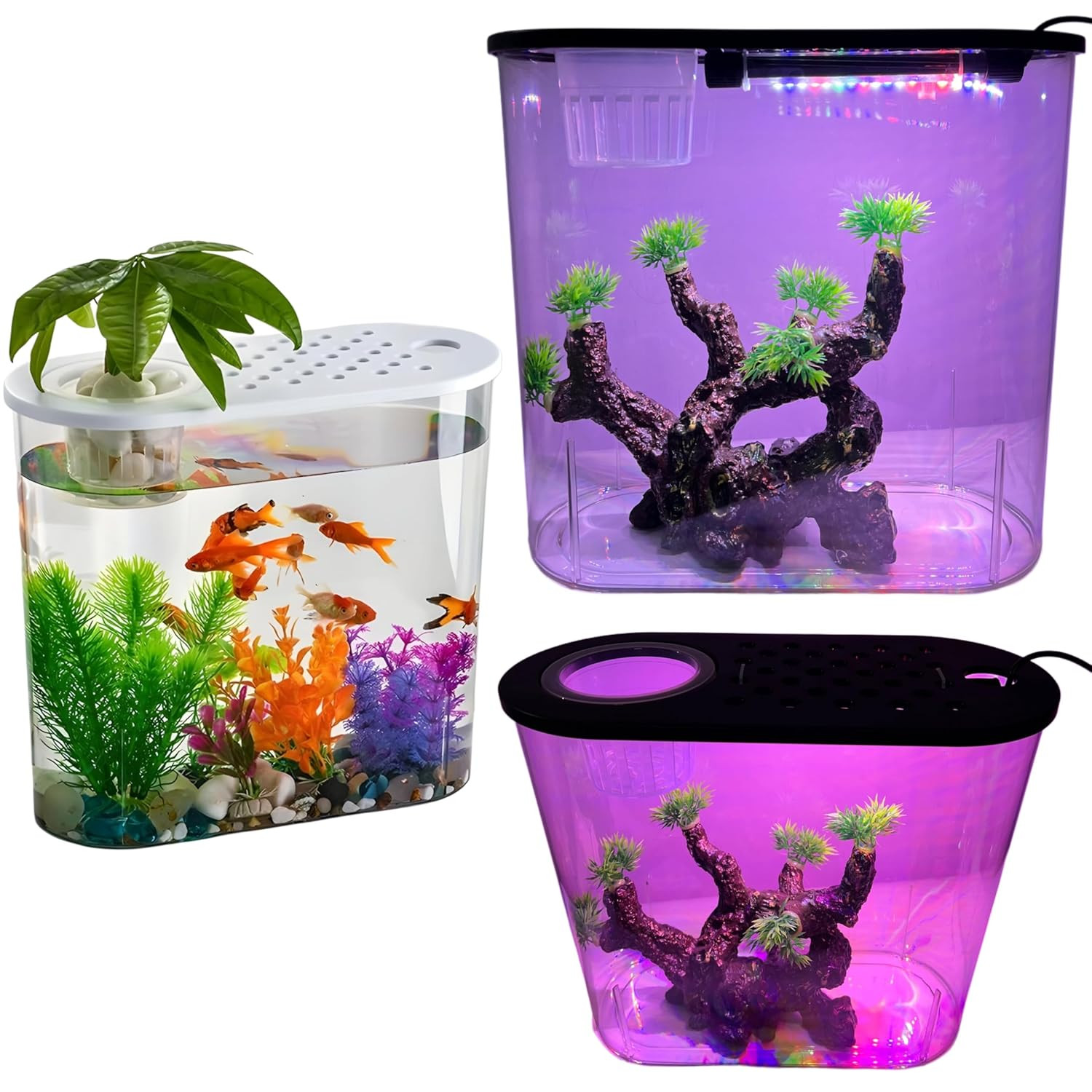 rizopets Hydroponic Fashion Aquarium Mini Fish Tank with Planting Basket for Guppies, Shrimp, Polycarbonate Material, Suitable for Home, Living Room and Office