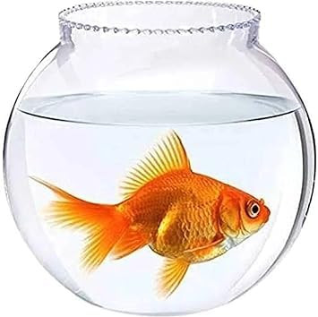 Color Aquarium Supplies Glass Fish Bowl 8 Inch (3.6 Litre)