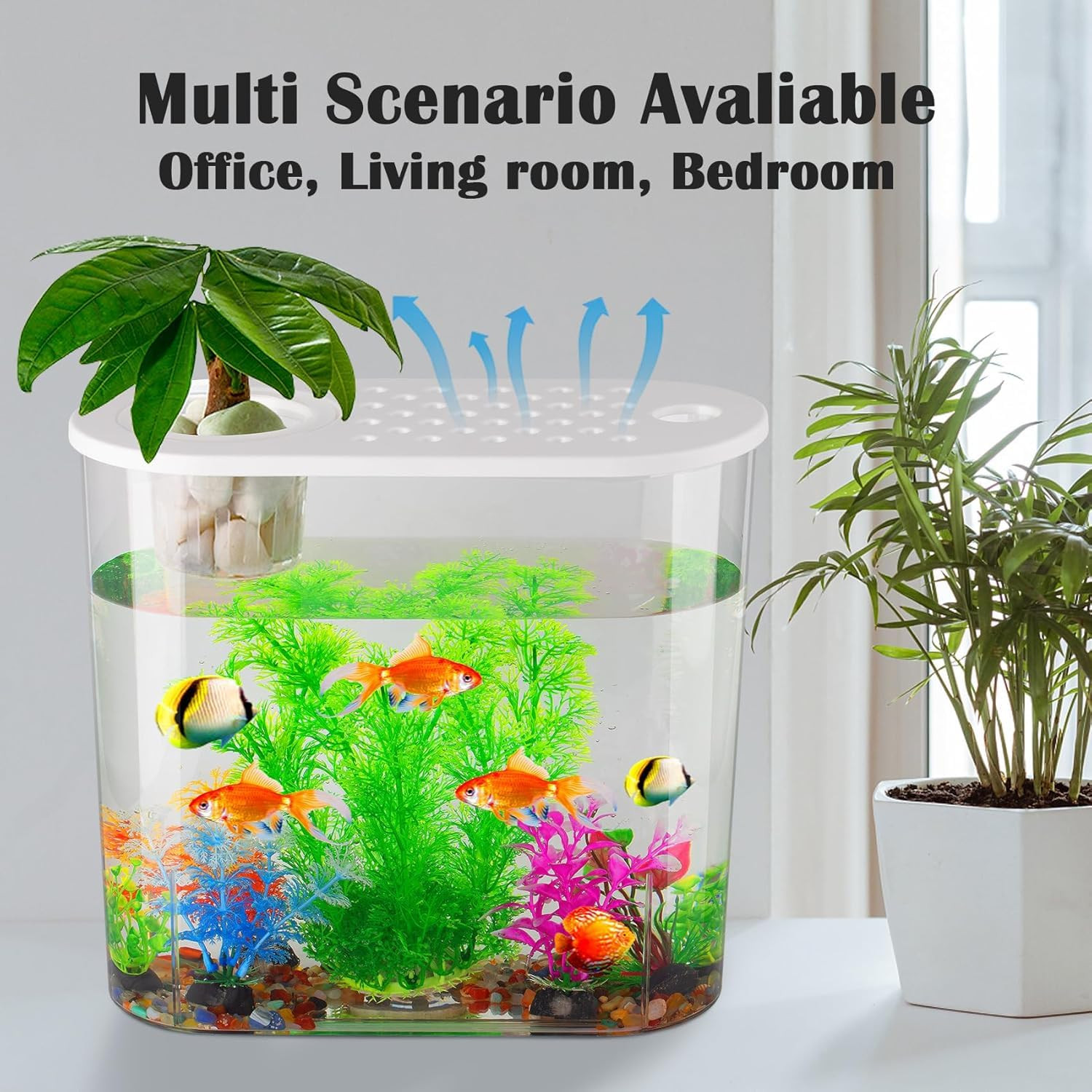 Buraq Hydroponic Fashion Aquarium Mini Fish Tank with Planting Basket for Guppies, Shrimp, Polycarbonate Material, Suitable for Home, Living Room and Office